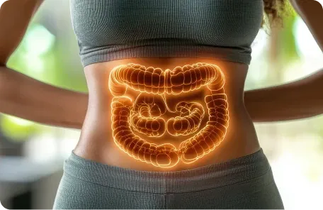 Proteção e intestino